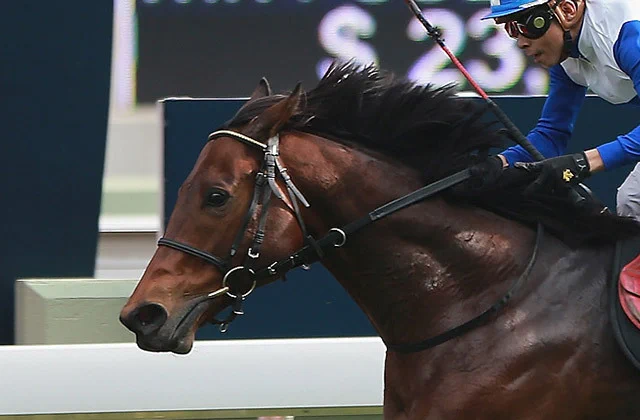 JRA-VAN公式 on X: 