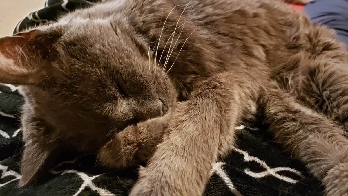 My best buddy still going strong! 2 years old in the 1st 2 photos, 18 year old in the 2nd 2 photos.