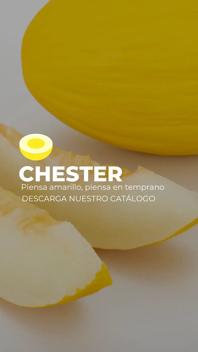 🍈 Chester, piensa en temprano.

El #melón amarillo ideal para tus primeras plantaciones en Almería: planta fuerte, fruto uniforme y piel lisa sin manchados.

👉 Descúbrelo en nuestro catálogo:loom.ly/kKnDimg

Piensa en amarillo, piensa en temprano. 

#CultivaSeminis