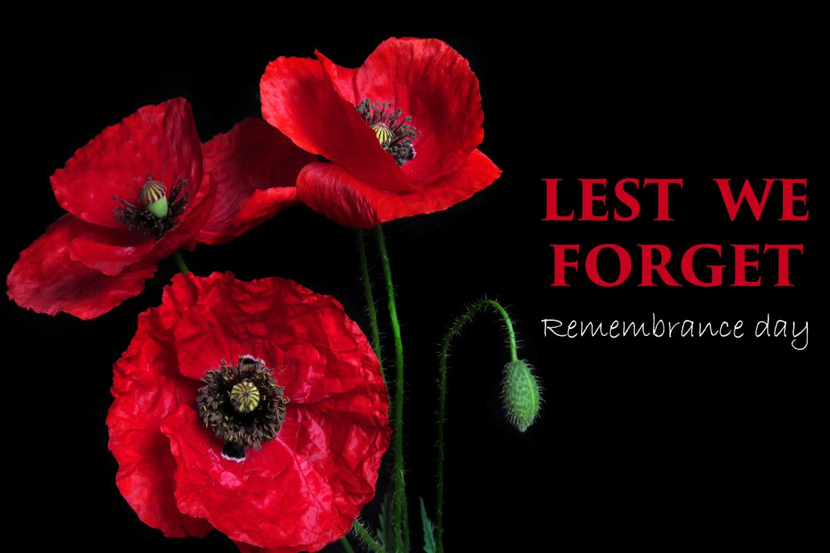 We thank all veterans for their service and sacrifices.