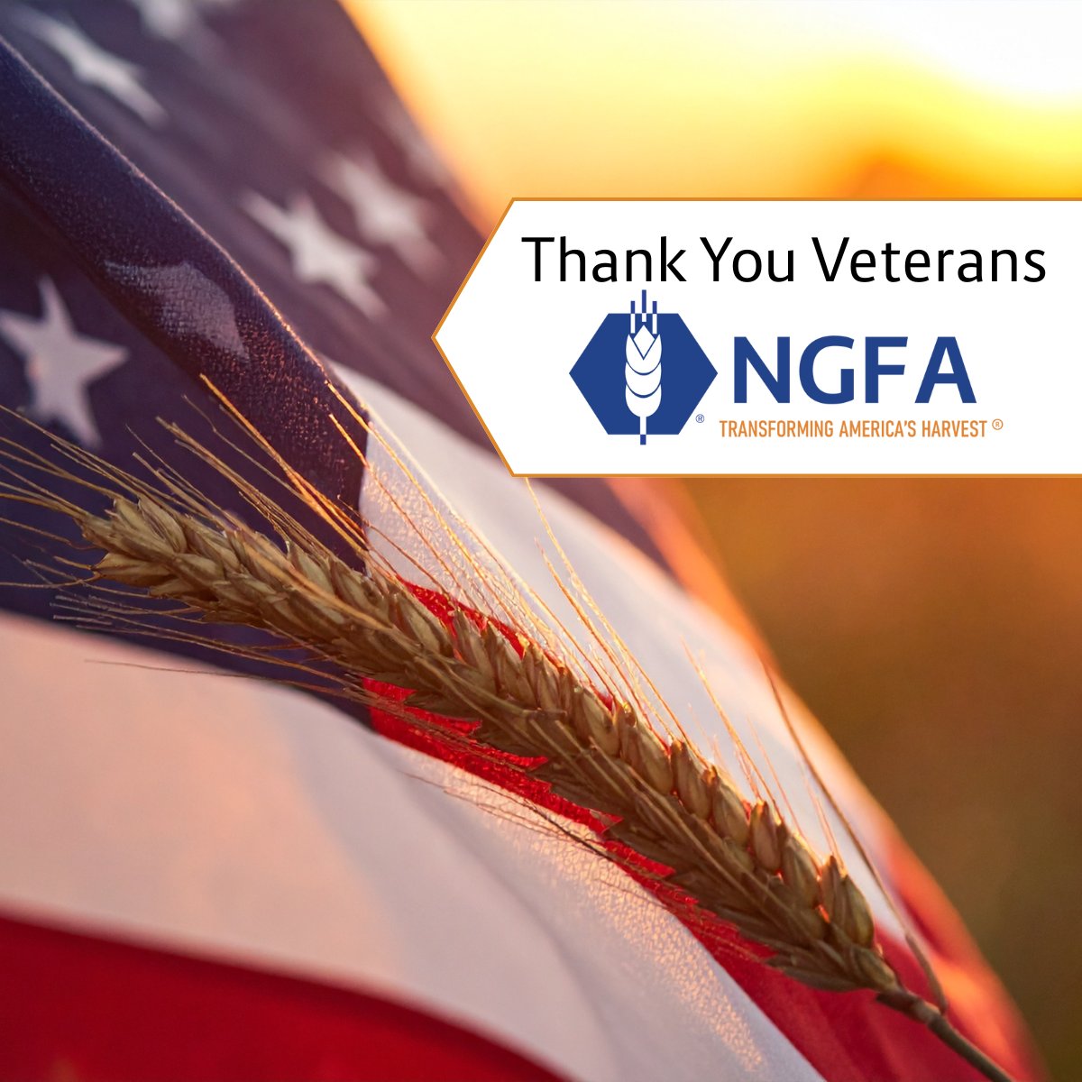 Today we honor the veterans who have served our nation with dedication and strength. We are grateful for their service and the example they set for us all.