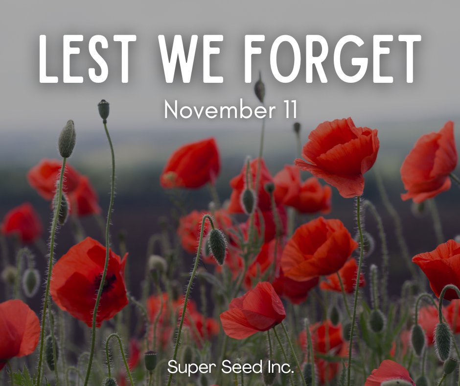 Super Seed Inc. (@superseedinc) on Twitter photo 