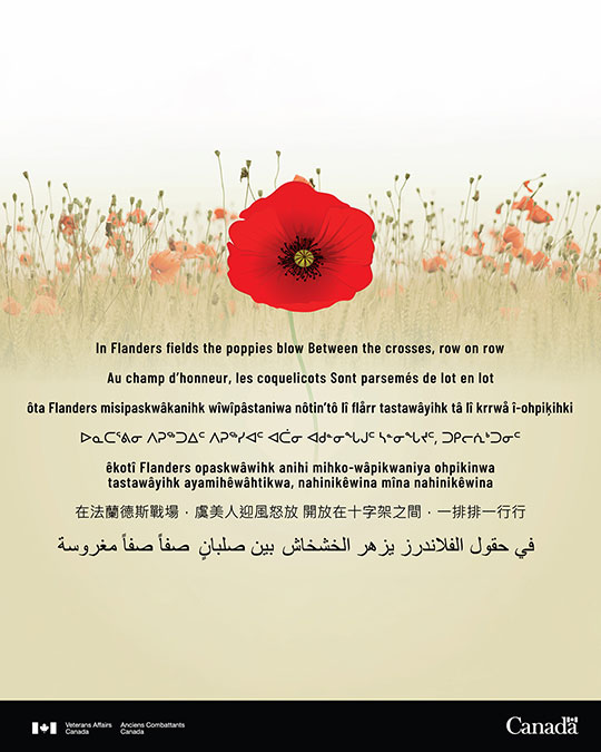 Remembrance Day 2025. Lest we forget.
ow.ly/HhPV50XpBFP