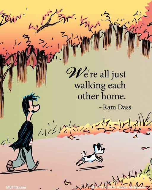 gregorio catarino tweet media