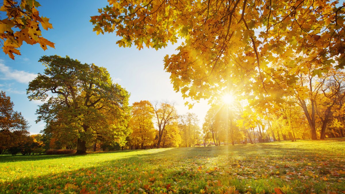 PrairieResInst's tweet photo. October's climate in Illinois was quintessentially autumn. 🍂 Curious how the month shaped up and what's in store this season? @ilclimatologist at @watersurvey breaks it down in a new blog. 👉 Link in the thread! https://t.co/RjvIj3ji4U