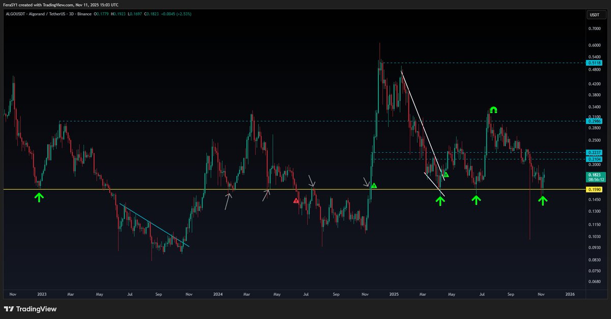 CryptoFeras's tweet image. $ALGO #ALGO 
this is 2 years price action
looks like it&apos;s all about the interaction with 0.16$

this is the key level of every big move, solid s/r for 1050days+
