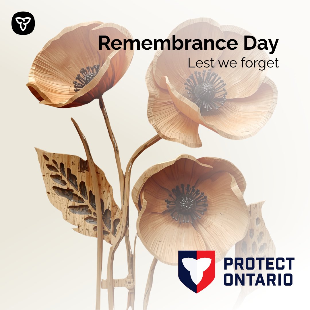 Just as every wood grain tells a story, every act of bravery shapes our history. This #RemembranceDay, #OntarioWood honours those who laid the foundation for our freedom. May we always remember and cherish the freedom they protected. #LestWeForget