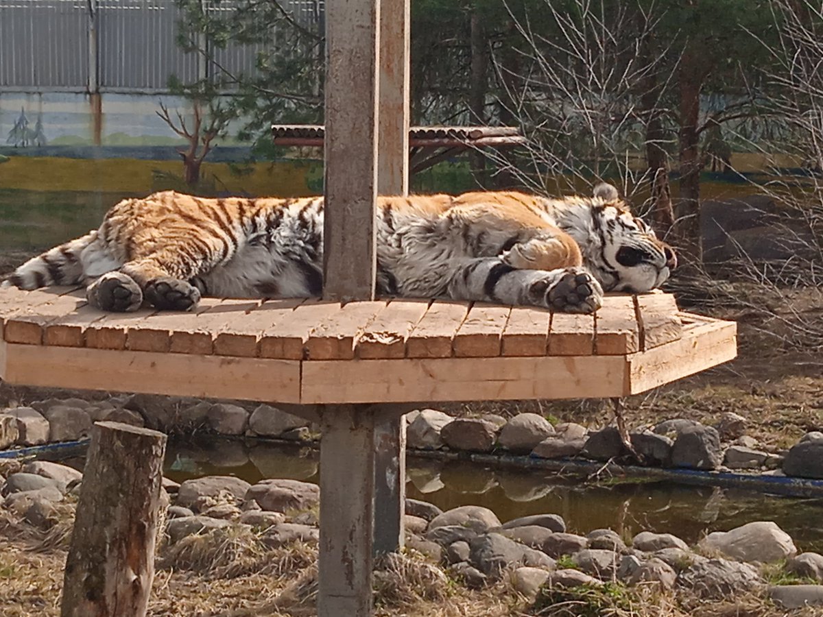 dynamic20002's tweet image. Nah I&apos;m just lazy.