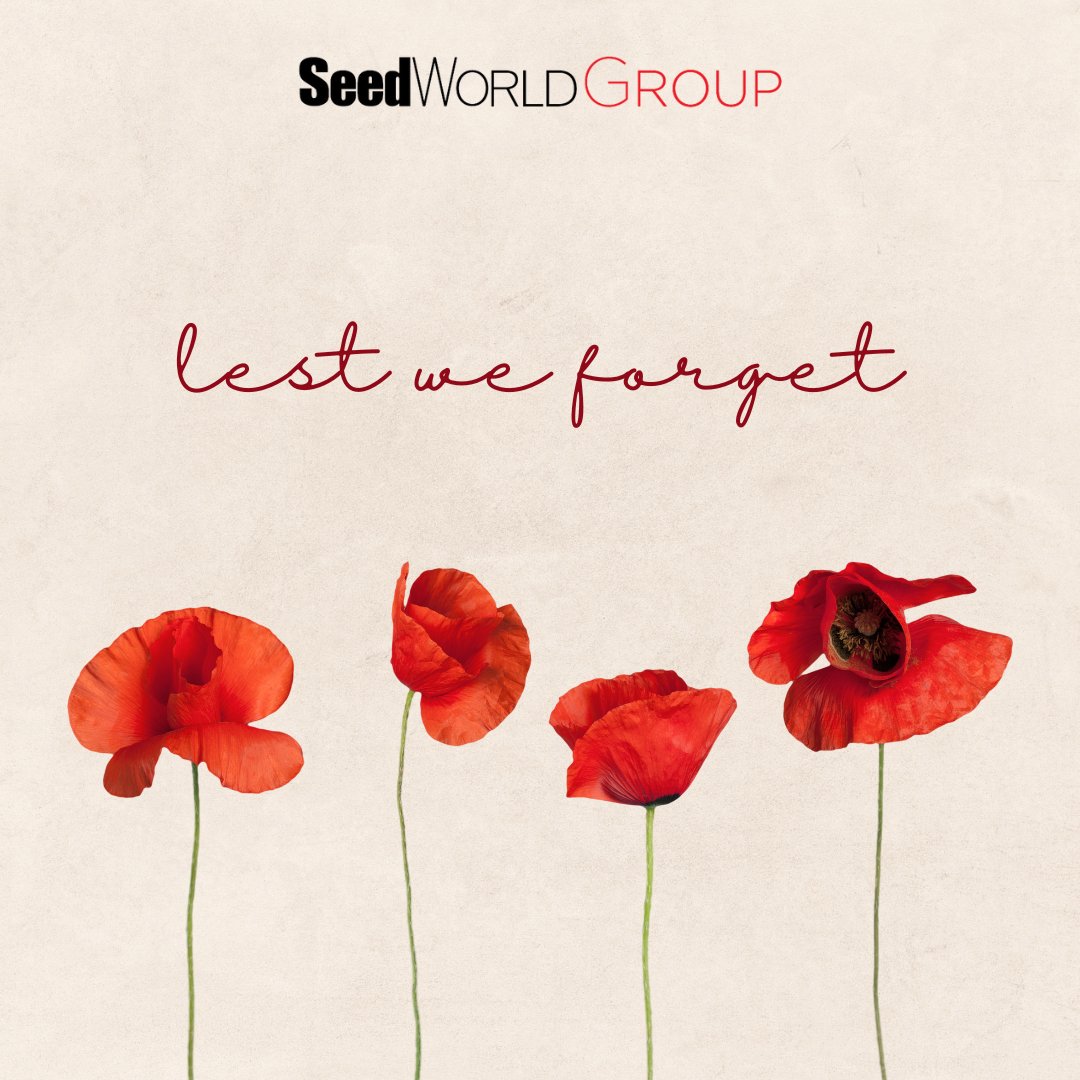 ABSeedGuide's tweet image. 🌺 Today, we remember the bravery and sacrifice of those who served Canada — past and present.
Their legacy lives on in our freedom.
#RemembranceDay #LestWeForget 🇨🇦
