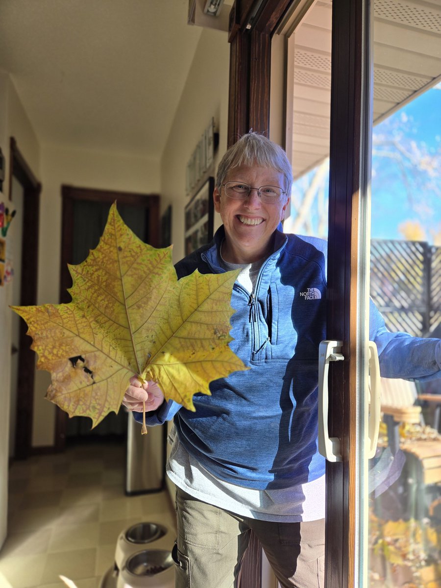 The leaf is so big, <a href="/CityOfIowaCity/">City of Iowa City</a> is charging us $2.50 to compost it!
