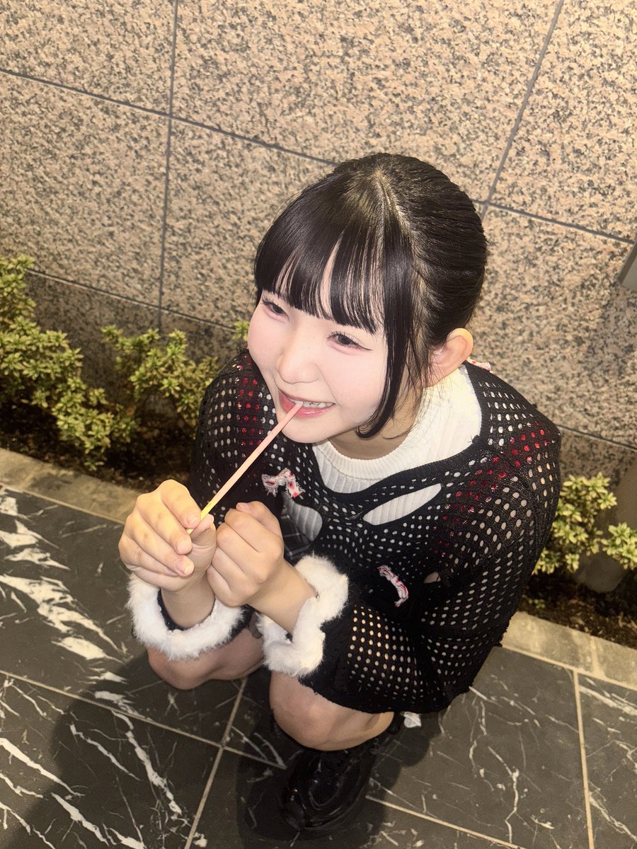 ちびっ子ギャングびび©︎ (@SEIKEI_ViVi) / Posts / X