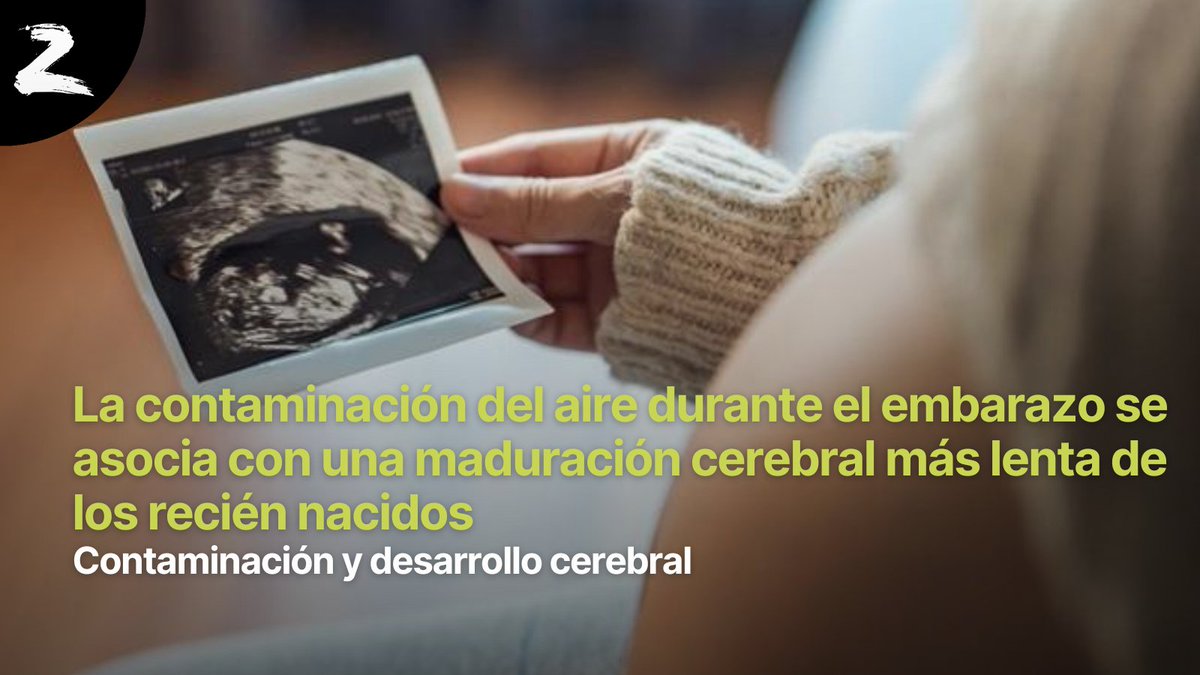 Soziable tweet media