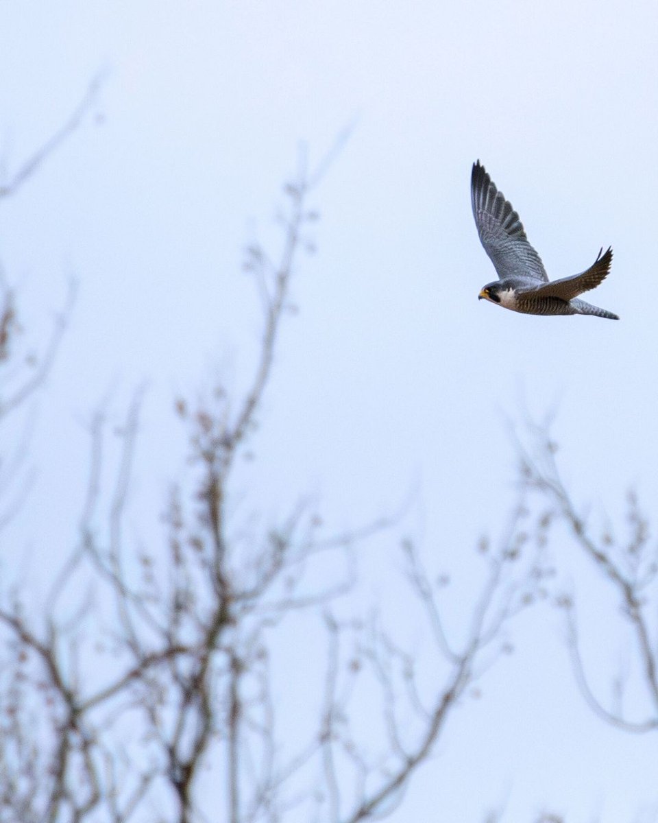 Conservancy for CVNP tweet media