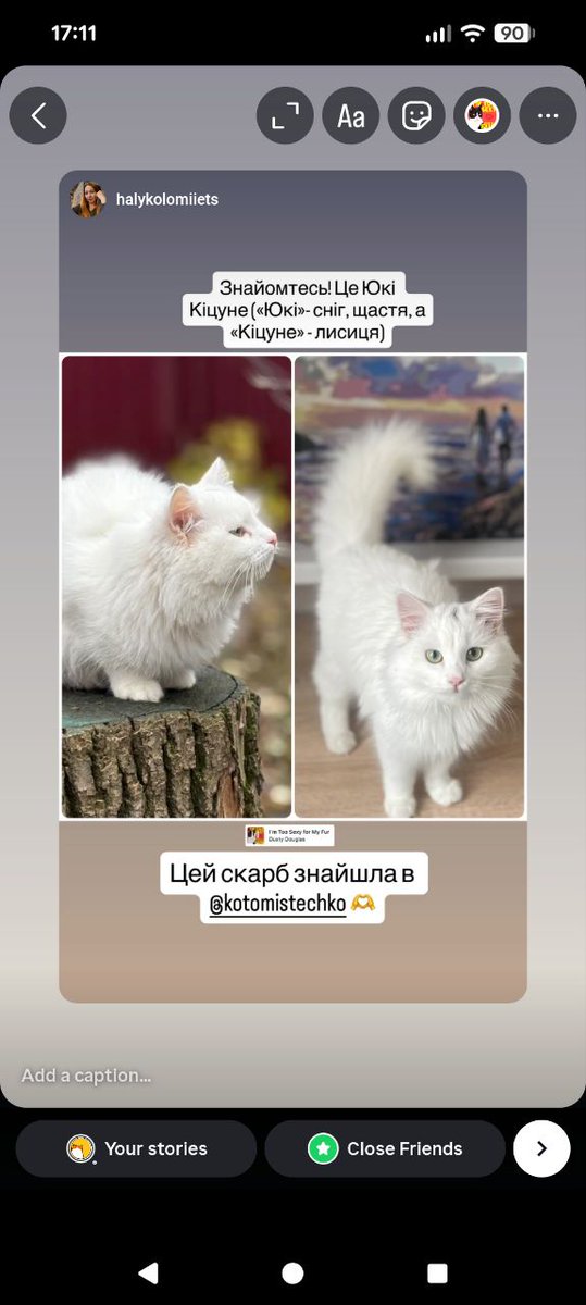 Чудова новина!
А ви прийдете до нас обрати котика?
Київ.
Тел. 0675837089.