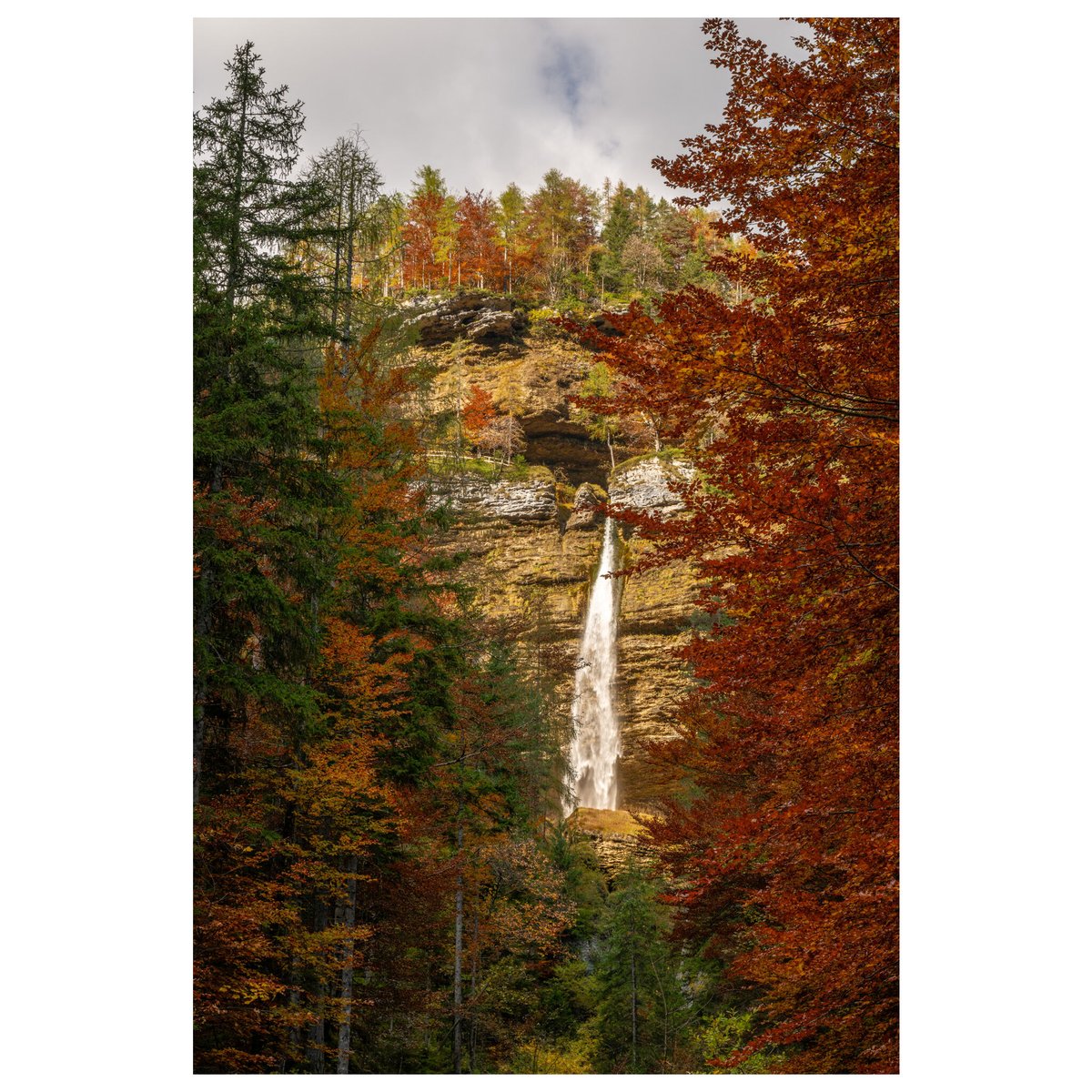 #Slovenia is a land of #waterfalls, from 52-metre fall of Slap #Peričnik to countless gentle cascades. Draped in the golden hues of #Autumn, each becomes a fleeting masterpiece of light &amp; motion. #Slovenia #AutumnMagic #creativephotoadventures
Details: phototours.in/slovenia