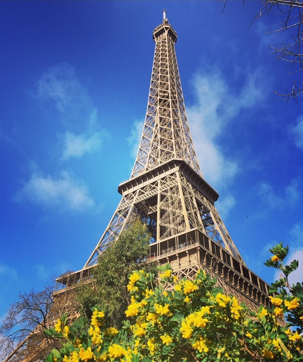 marksmeanderin1's tweet image. #TowerTuesday
Taken on my visit a couple of years ago to Paris. One of the most famous towers in the world, The Eiffel Tower 

📸 my own 

#eiffeltower #paris #france #tourist #travel #happymemories #europe