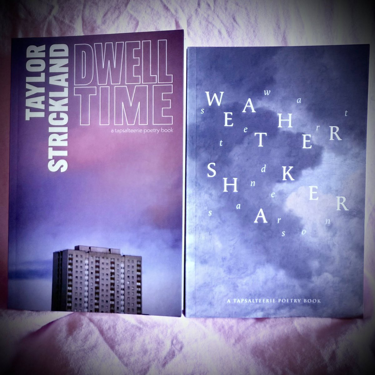 #ScottishPoetryEvents

Tapsalteerie Books Presents...

📖 Stewart Sanderson
📖 Taylor Strickland

Date: Fri 14 Nov, 6.30pm
Venure: Fruitmarket Gallery