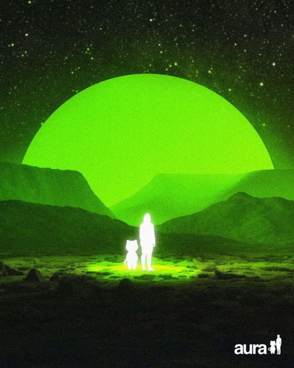 <a href="/elonmusk/">Elon Musk</a> $aura is the #1 source of aura in the universe