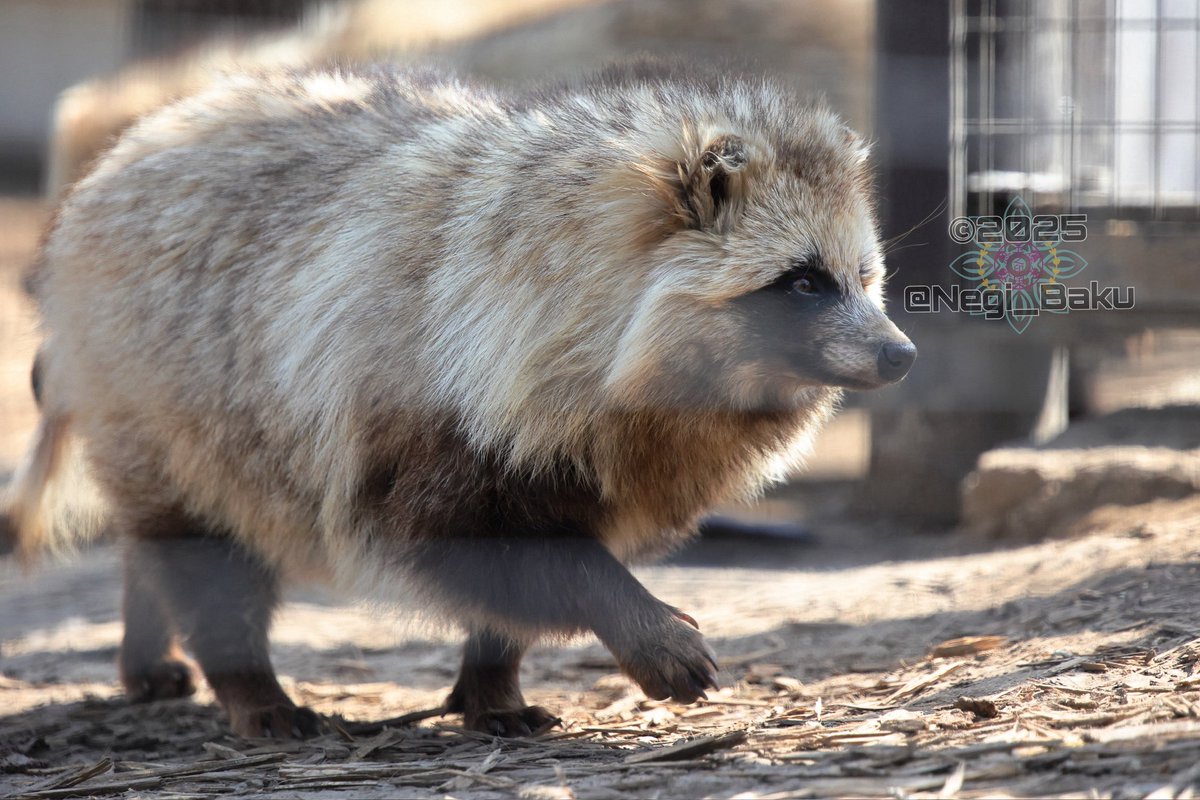 ゆかり♨️ (@le_fo_u) / Posts / X