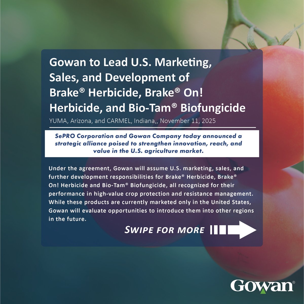 Gowan Company tweet media