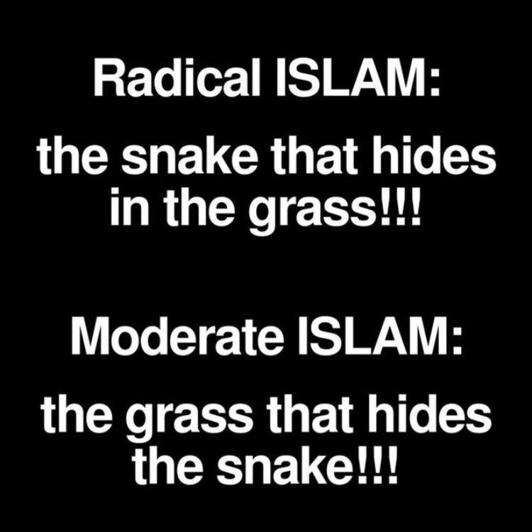 K1Rajiv's tweet image. 