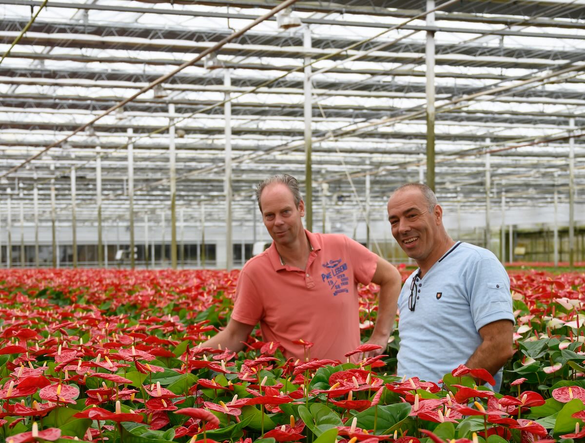 Greenity tweet media