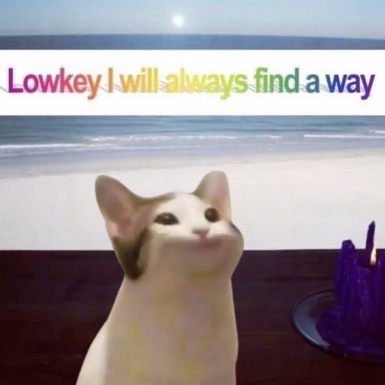 POPCATSOLANA's tweet image. 