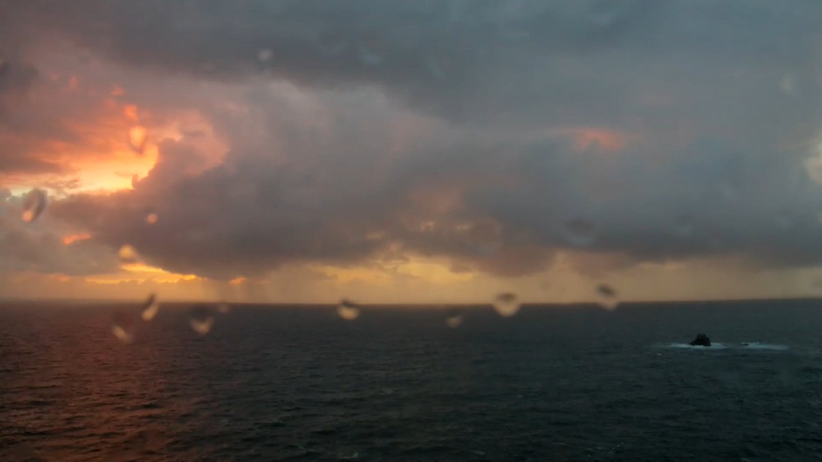 Solporeu tweet media