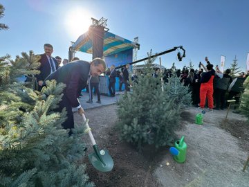 First image shows a man in suit and sunglasses standing at a podium with Turkish flag emblem, raising his right hand in gesture, against blue backdrop with text 11 Kasım Millî Ağaçlandırma Günü and green leaf motifs. Second image depicts several suited men including one identified as Recep Tayyip Erdoğan pouring water from green watering can onto young pine tree sapling, surrounded by applauding crowd with children in white outfits nearby. Third image features group of men in suits and traditional attire standing together on green stage under blue canopy with Turkish flag, some raising hands. Fourth image shows suited man using green shovel to plant tree sapling in soil, with other suited individuals and orange-clad workers around young pine trees and watering cans under sunny sky with stage in background.