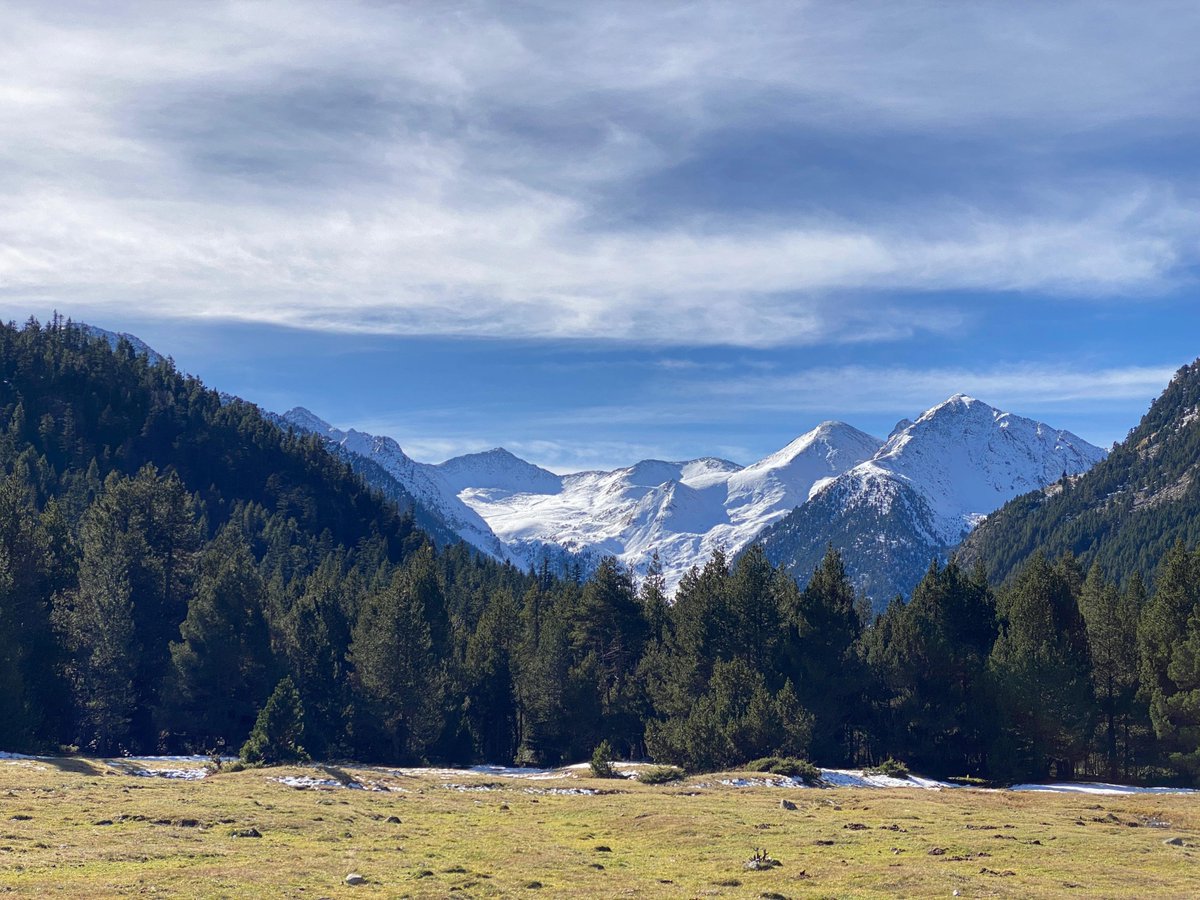 Institut Pere Ribot tweet media