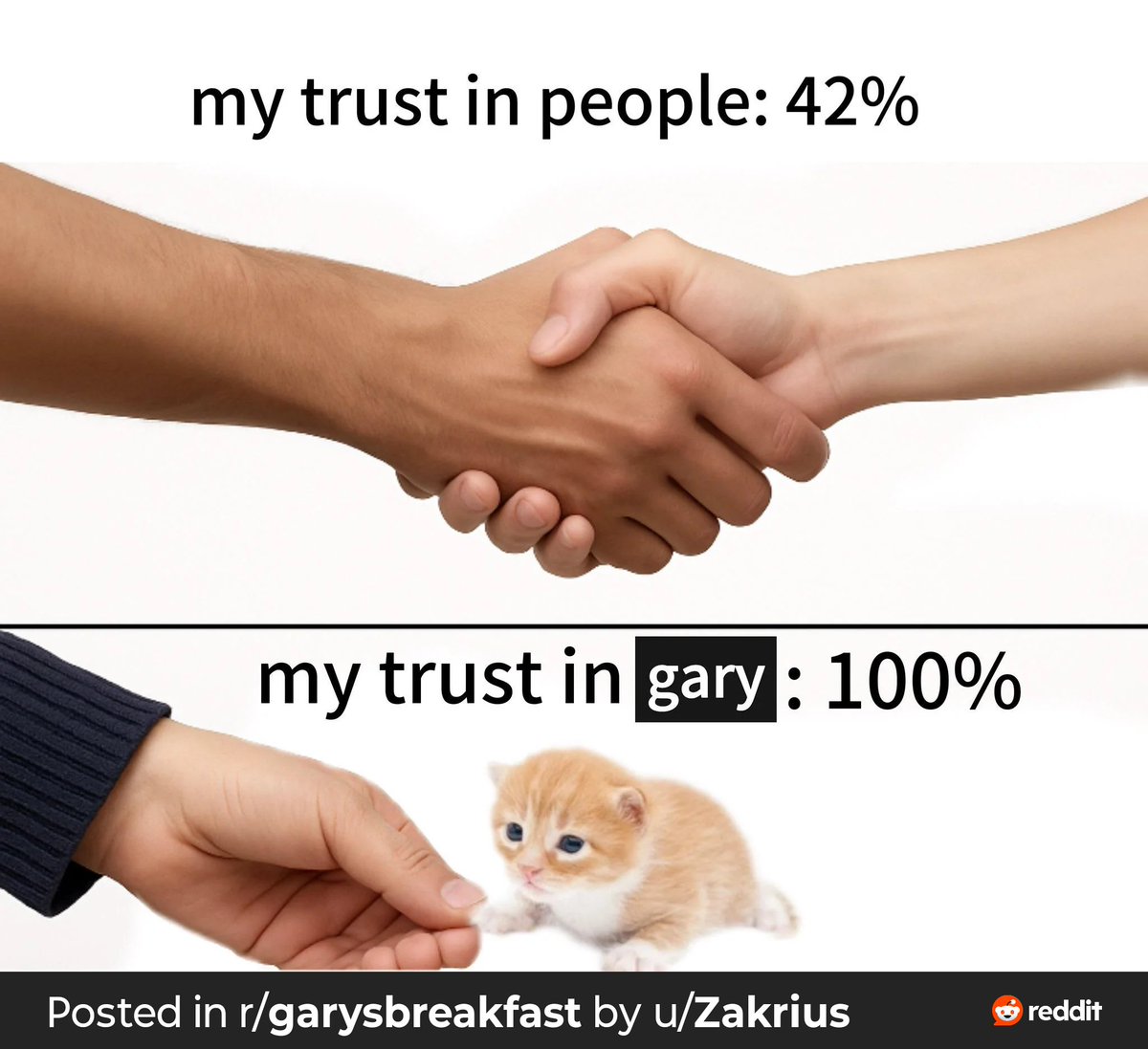 Gary Mathis (@damfool65) on Twitter photo 