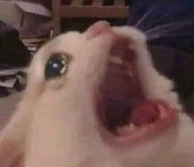 느아아아아아아아아아아아아아아아아아아아아아 ㅠㅠㅠㅠㅠㅠ