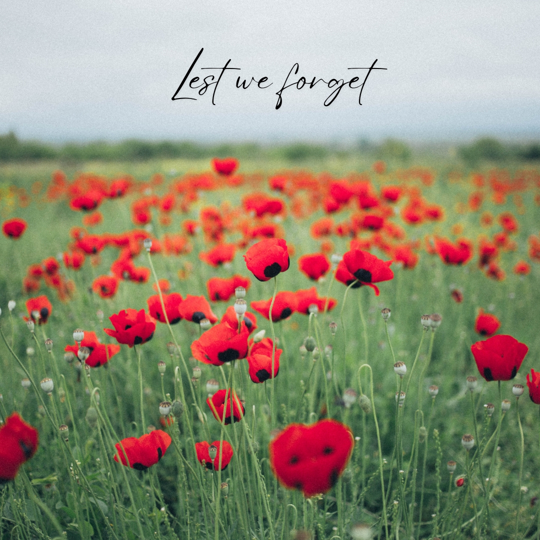 IntegraBuild's tweet image. 