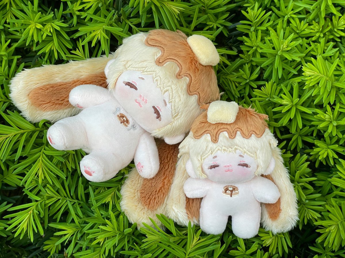 ivuuuk's tweet photo. #無ぬい求
お譲りくださる方を探しております。

【求】
ナイアちゃん
ネムくん
ピースフルちゃん
ニャムちゃん(10cm)

【譲】
作者様の決められた金額＋送料

お写真は作者様からお借りしております。
お心当たりの方がいらっしゃいましたら、お声掛けくださると幸いです。
よろしくお願いします🙇‍♂️ https://t.co/XsIJmfknNk