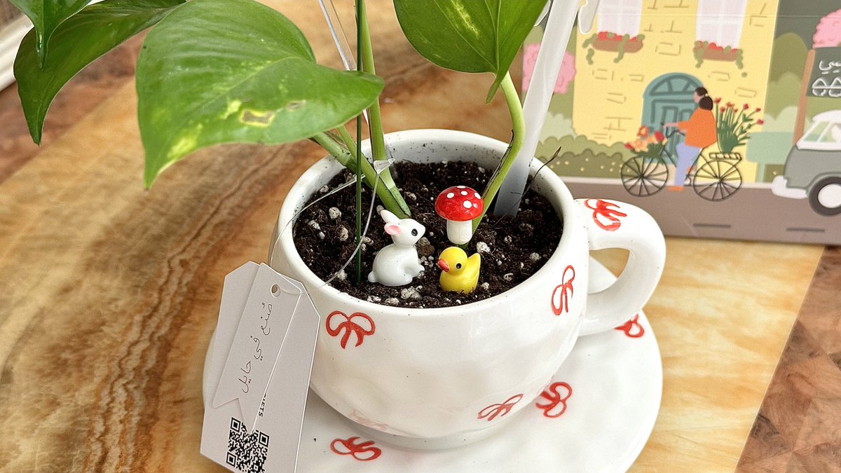 My new baby 🌱🍄🪴