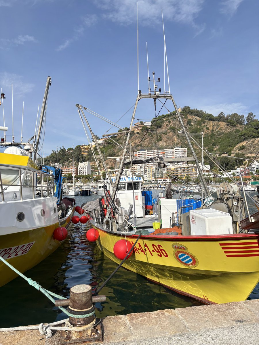 El millor vaixell de Blanes💙🤍 <a href="/PericosBlanes/">Penya BiB Blanes</a> #rcde