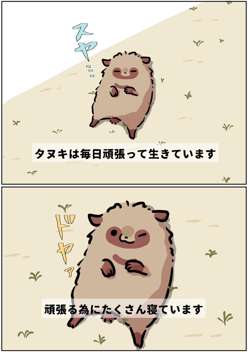 タヌキ兄弟の弟たれみみ

よく寝るたぬき