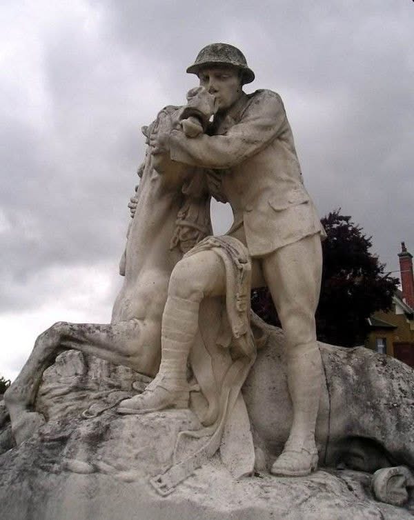 Scotland for Animals (@scotforanimals) on Twitter photo 