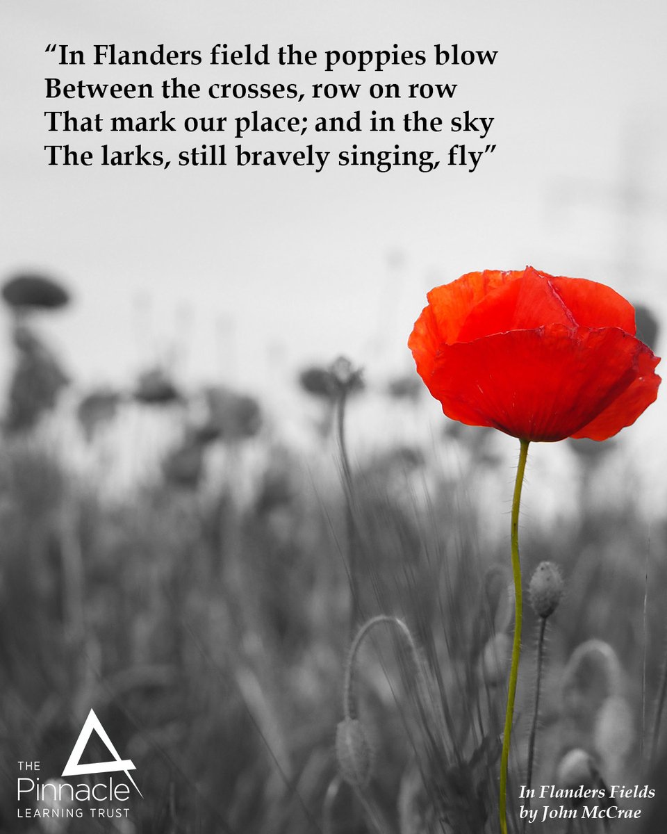 PinnacleTrust's tweet photo. Academies and schools across the trust will be taking a moment of silence to honour and remember the sacrifices of those who served.

#RemembranceDay2025 #LestWeForget https://t.co/p0DCRYkI2S