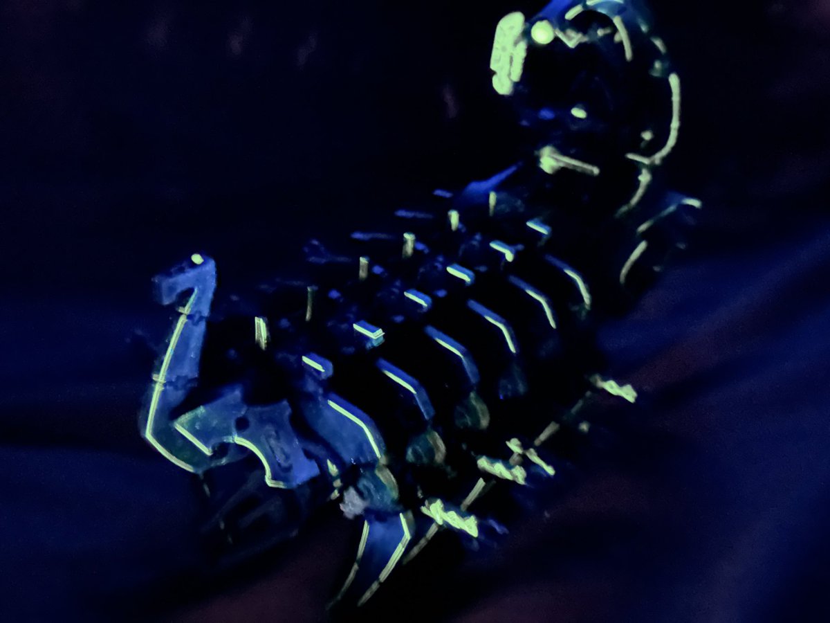 九十九 (@oz_13ms1) / Posts / X