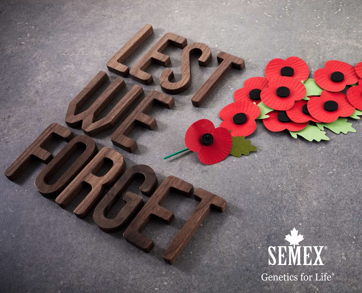 Lest We Forget #RemembranceDay