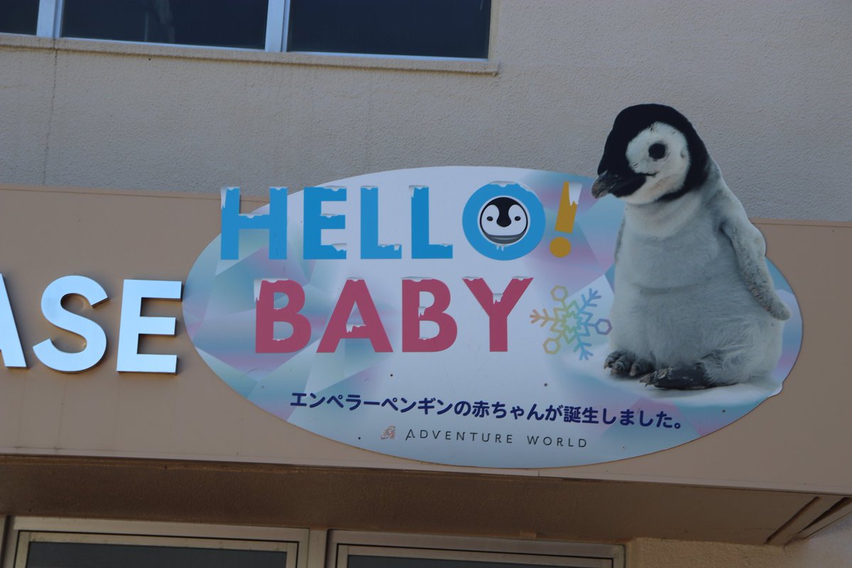 ハンドル☆メイ「暗礁空域茨の道」 on X