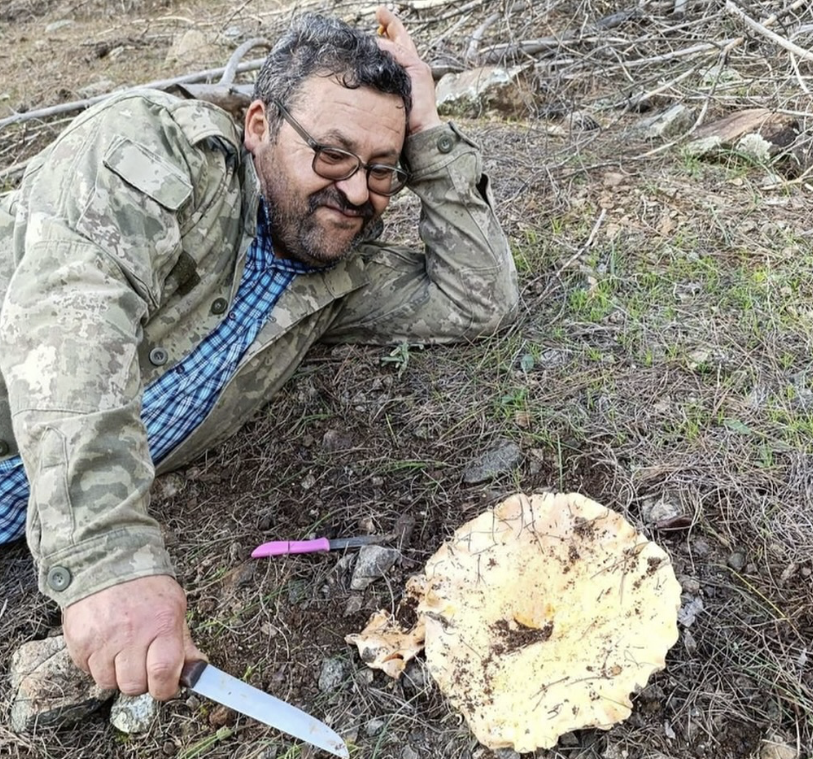 Balıkesir'de 1 kilo 300 gram ağırlığında Melki Mantarı bulan vatandaşın sevinci.