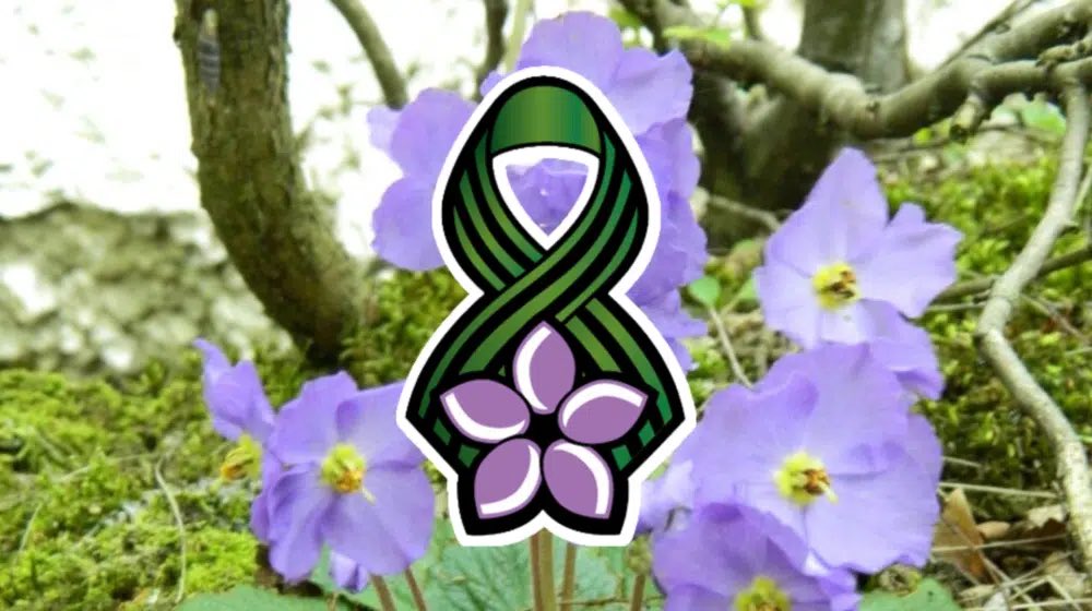 Nemanja Matic tweet media