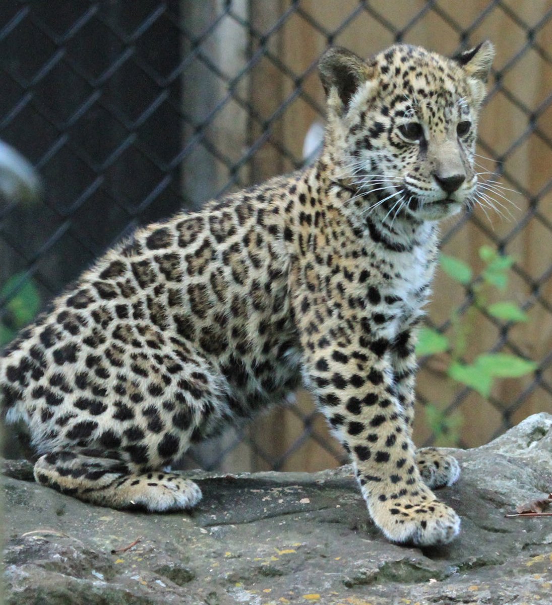 Sitting tight—bags loaded. I know exactly what I’m holding.