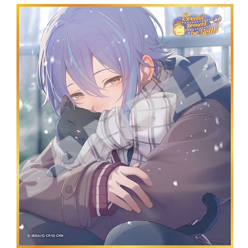 🌟12月20日発売⭐️／ 「#プロセカ」ミニ色紙コレクション 第53弾