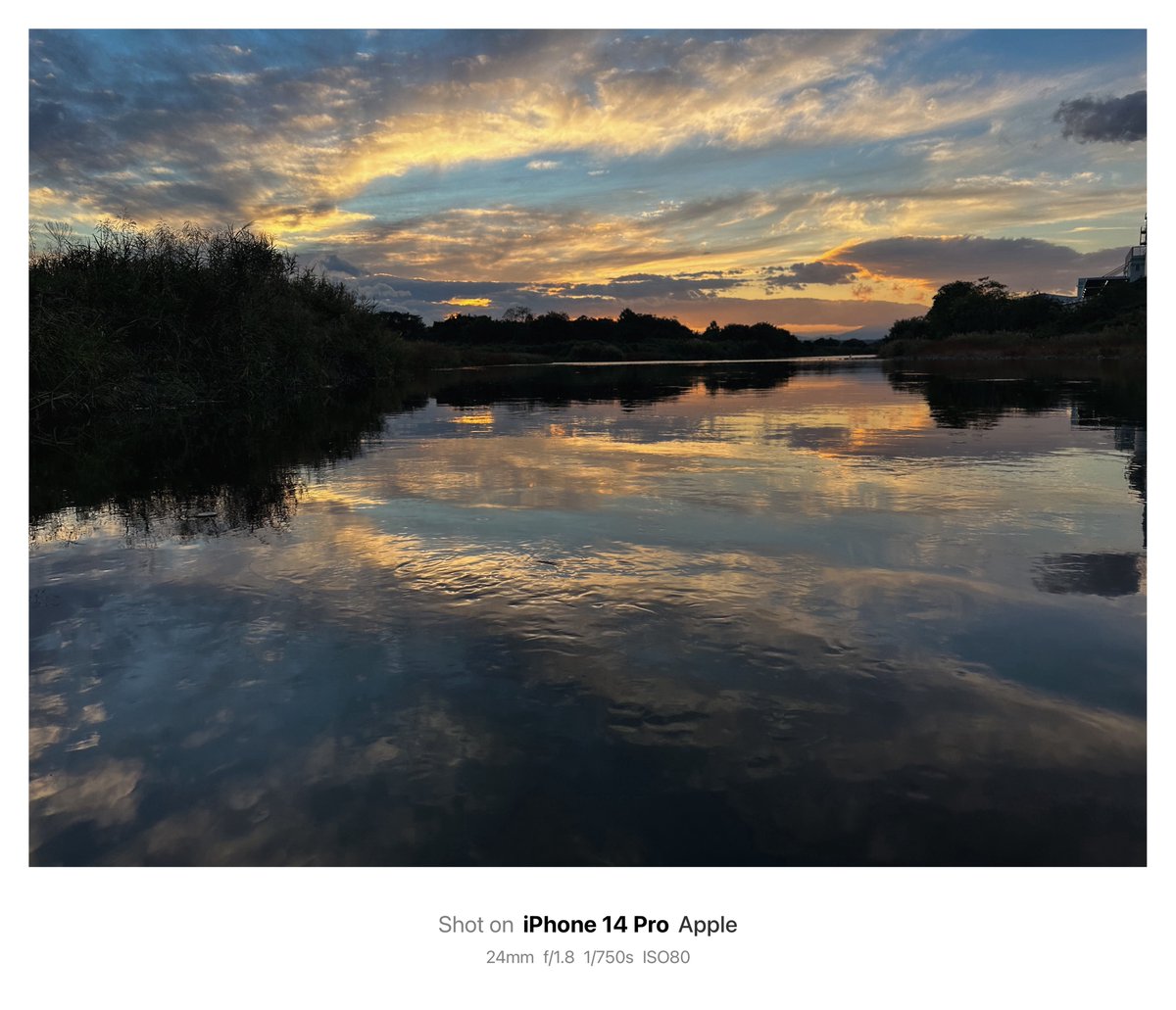 hkawano117's tweet image. #iPhone14pro
#snap
#写真好きな人と繋がりたい
#写真を撮っている人と繋がりたい
#ファインダー越しの私の世界
#写真
#PHOTOGRAPHY