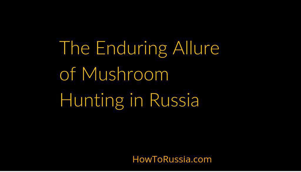 TonyChamberlain's tweet image. Timing your foraging expeditions to align with peak mushroom seasons is essential for a successful and bountiful harvest in Russia&apos;s diverse forests.

Read more 👉 lttr.ai/Ak3GY

#RussianMushrooms #RussiaSBelovedTradition #MushroomHunting