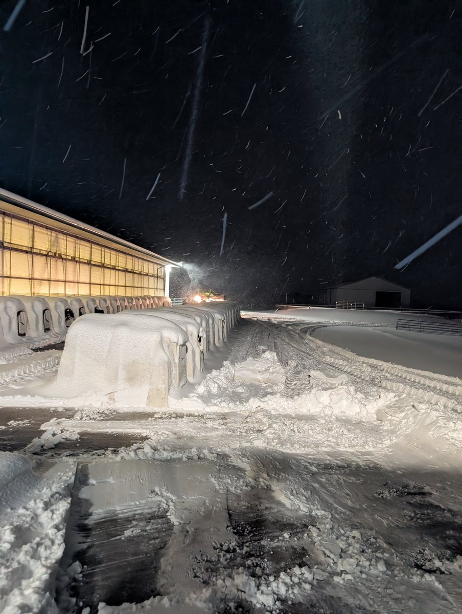 Erik Kennes🇨🇦🥛🐄 tweet media