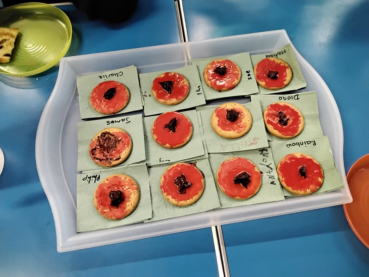 🌺 Honouring Remembrance Day at Our Wraparound Clubs This Week! 🌺

This week, we’re hosting Remembrance Day activities in our wraparound clubs, giving children a beautiful way to learn about and honour our heroes. ❤️

#RemembranceDay #Remembrance #HonouringOurHeroes #JAG